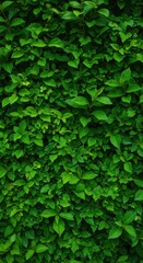 Fototapeta premium Lush, vibrant green background texture featuring dense layers of diverse plant leaves. A natural wall of emerald, lime, and jade foliage creates a calming scene ,detailed ,peaceful ,pattern
