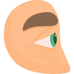 Stylized Human Eye and Eyebrow With Green Iris Detailed Close Up Vector Illustration Isolated On White Background.