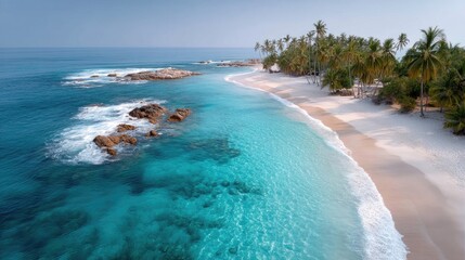 Fototapeta premium Aerial View of a Tropical Island Beach With Turquoise Water and Palm Trees Under Bright Sunlight