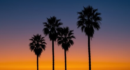 Naklejka premium Palm trees silhouetted against a spectacular evening sky showing brilliant gradients of color as the sun dips below the tranquil horizon ,summer ,orange ,landscape