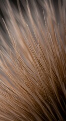 Obraz premium Extreme close-up of natural fibers showing tiny bristles and soft texture. Focus on the delicate, fine growth patterns of the wild plant ,abstract ,stem ,intricate