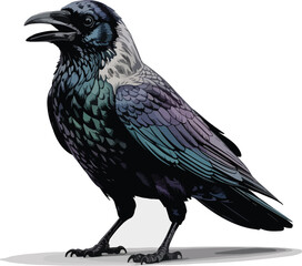 Vibrant blue sky and white puffy clouds over a lush green field in the sunshine