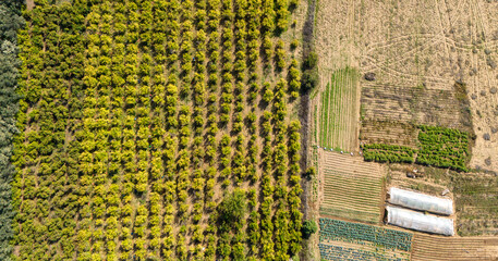 A diverse agricultural landscape seen from a top down drone view with an orchard greenhouses and other vegetable plots