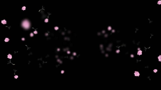 Pink cherry blossoms flew towards the screen.Alpha channel.Cartoon style, peach blossoms, Dreamy and beautiful, Perfect for weddings, stage backdrops, dance backgrounds, Mother's Day, anniversaries.
