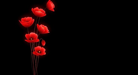 Red Poppies With Glowing Stems On Black Background flowers floral