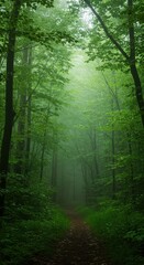 Obraz premium A deep mystical forest filled with ethereal mist and vibrant green foliage, creating a serene and peaceful natural environment ,mystical ,atmosphere ,nobody