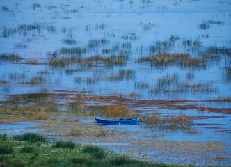 A small blue fishing boat is partially visible among the green reeds of a calm and beautiful lake on a sunny day