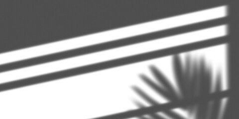Window shadow overlay effect with light and shadow on the wall surface isolated on transparent background