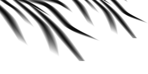 Abstract blurred shadows of leaves isolated on transparent background for design