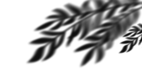 Abstract black and white leaves shadow isolated on transparent background