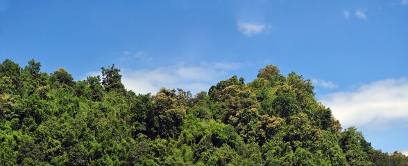 landscape with blue sky