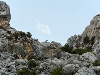 A view looking up at a rugged and steep rocky mountain cliff with a few green trees against a pale...