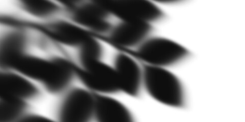 Branch leaf shadow isolated on transparent background creates a natural vibe