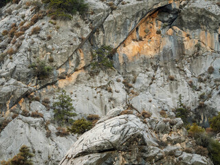 A detailed landscape of a rocky mountainside with various textures and colors in the stone and green vegetation clinging to the cliffs