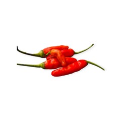 Bright Red Chili Peppers Isolated on White