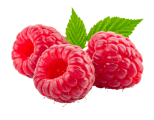 Three ripe raspberries, with verdant leaves, isolated on a black background with vibrant red tones and intricate texture
