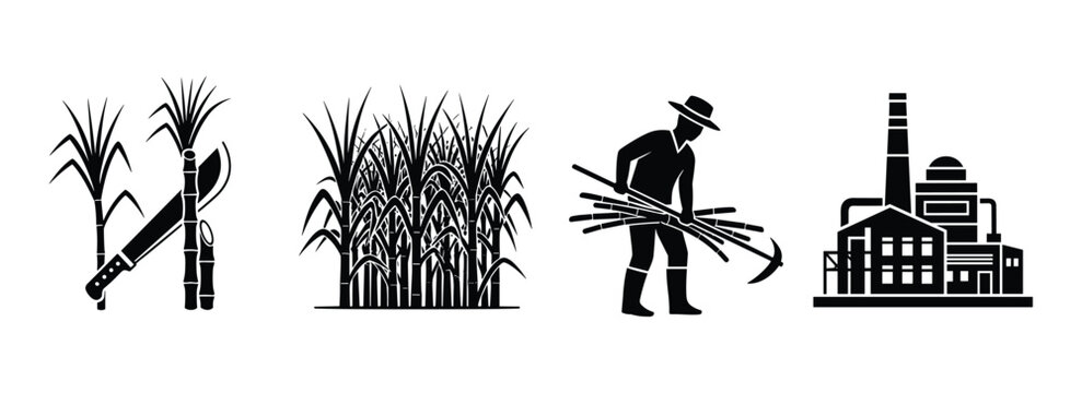 Sugarcane farming and processing icons set for agriculture industry