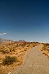 Red Rock Canyon desert landscape Nevada USA Conservation Area, Nevada, USA