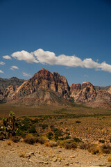 Red Rock Canyon desert landscape Nevada USA Conservation Area, Nevada, USA