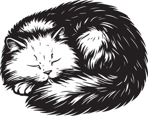 persian-cat-sleeping-curled-vector.eps