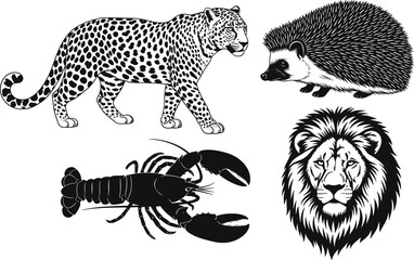Animal silhouette illustrations, leopard, hedgehog, badger, lobster, lion head, black icons, wildlife drawing, educational design, nature symbol, crustacean