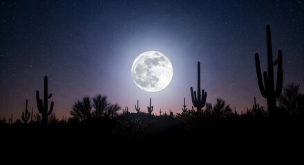 Full moon illuminates desert landscape with saguaro cacti under starry sky