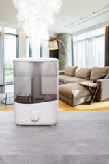 Air Humidifier in Cozy Living Room with Soft Background