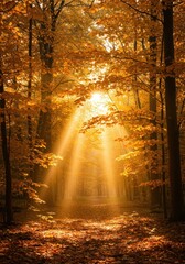 Obraz premium Brilliant sunlight filtering through a canopy of dazzling golden foliage, illuminating the forest floor with warm seasonal light and rich autumn colors ,abstract ,nature ,tranquil
