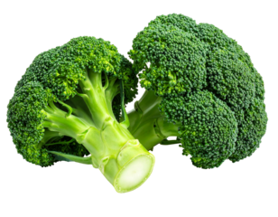Two fresh broccoli heads joined at the stem, vivid green against a black background, showcasing intricate florets