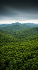 Fototapeta premium A massive expanse of rolling hills and towering mountains covered in an endless blanket of vibrant green trees stretching toward the horizon ,panorama ,thick ,view