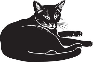 Elegant black cat silhouette relaxing gracefully pet animal feline domestic companion cute domesticated furry friend