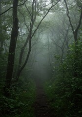 Close-up view of lush, damp forest texture shrouded in thick, atmospheric fog, conveying a deep, mysterious intimacy ,Fog ,lush ,damp