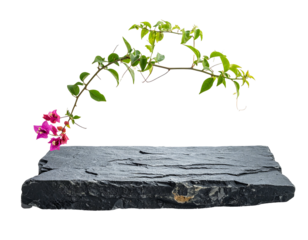 Rock slab topped with vibrant green vine and pink flowers against a stark black backdrop, artistic and minimalist