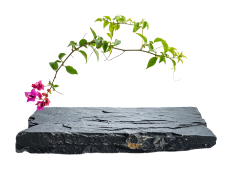 Rock slab topped with vibrant green vine and pink flowers against a stark black backdrop, artistic and minimalist