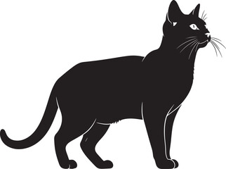 Striking black cat silhouette standing alert poised elegant feline profile elegant pet companion animal domesticated companion animal graceful