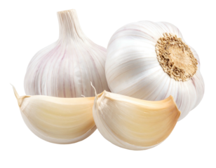 Two garlic bulbs with several cloves, white and tan against a dark background
