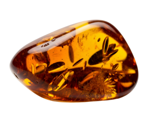 Captivating polished amber gemstone with preserved inclusions, showcased against a clean white background