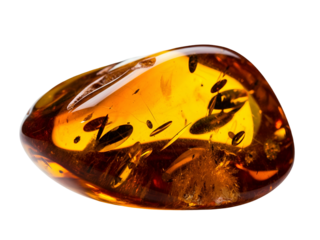 Polished Amber Gemstone Fossilized Resin, Isolated on White Background