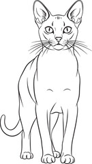Elegant siamese cat silhouette line art drawing image royalty free stock