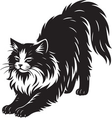 Obraz premium ragdoll_cat_stretching_detailed_bw.eps