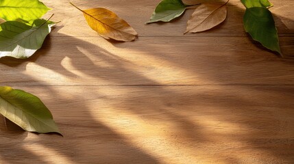 Autumn leaves casting shadows on a wooden surface, showcasing nature's beauty.