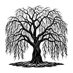Leafless willow tree illustration vector art scalable graphic for design projects