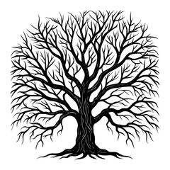 Intricate leafless willow tree branches vector illustration scalable nature art