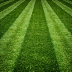 A perfect, manicured lawn showing distinct, alternating stripes. The lush green grass is beautifully maintained and ready for summer activities ,stripes ,spring ,verdant