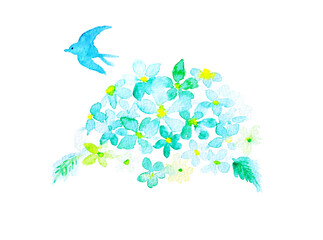 ツバメとあじさい