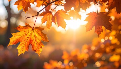 Obraz premium Autumn