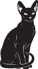 Elegant black cat silhouette sitting with alert ears and curled tail artistic representation of feline grace and mystery