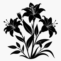  hemerocallis bloemen silhouette on white background