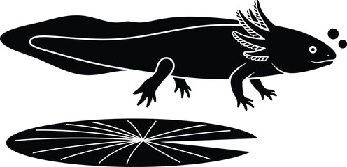 Stylized axolotl illustration, aquatic salamander, black and blue design, external gills, regenerative animal, graphic art, isolated on white