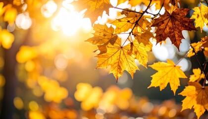 Obraz premium Autumn